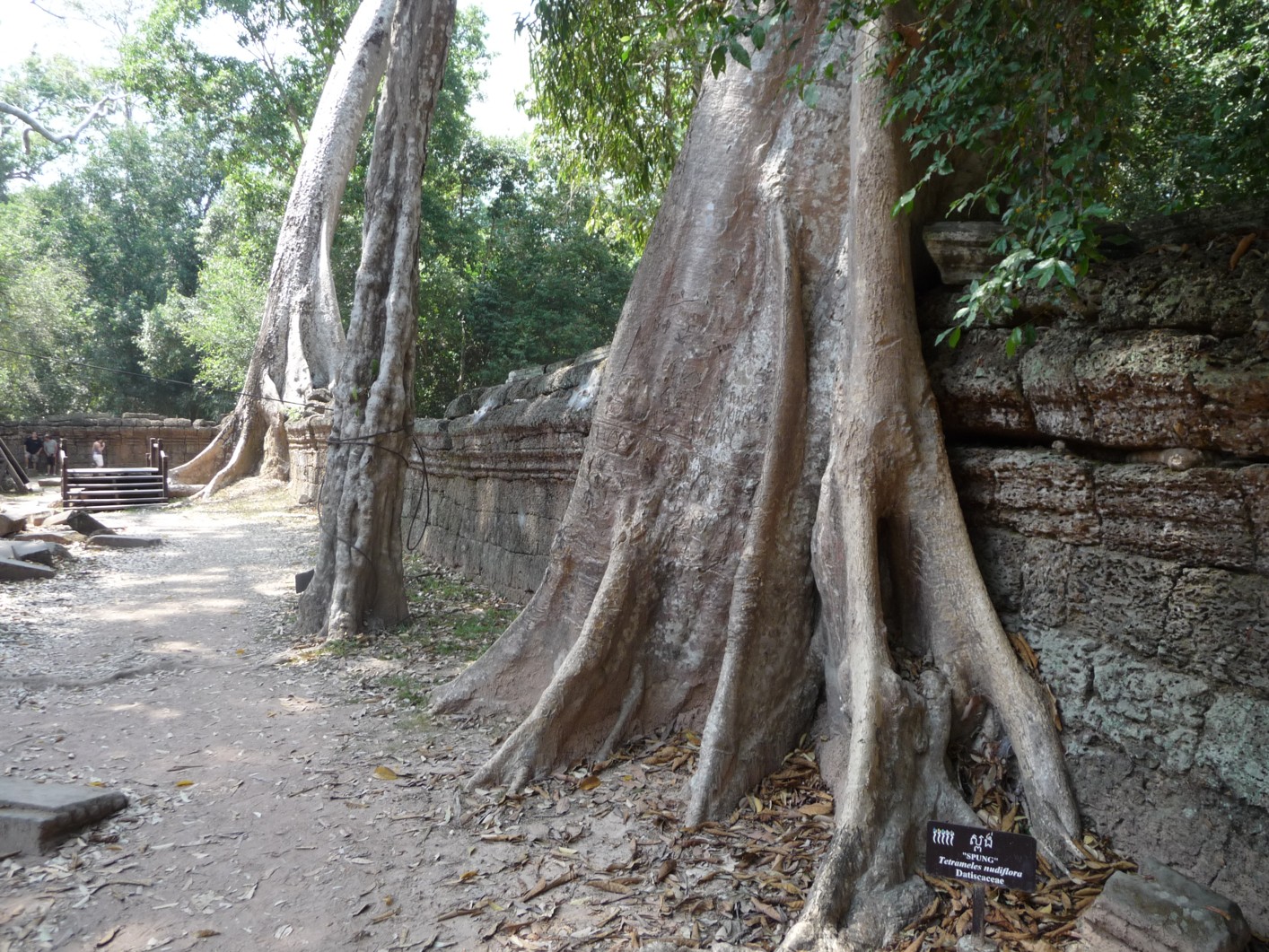 P1080149