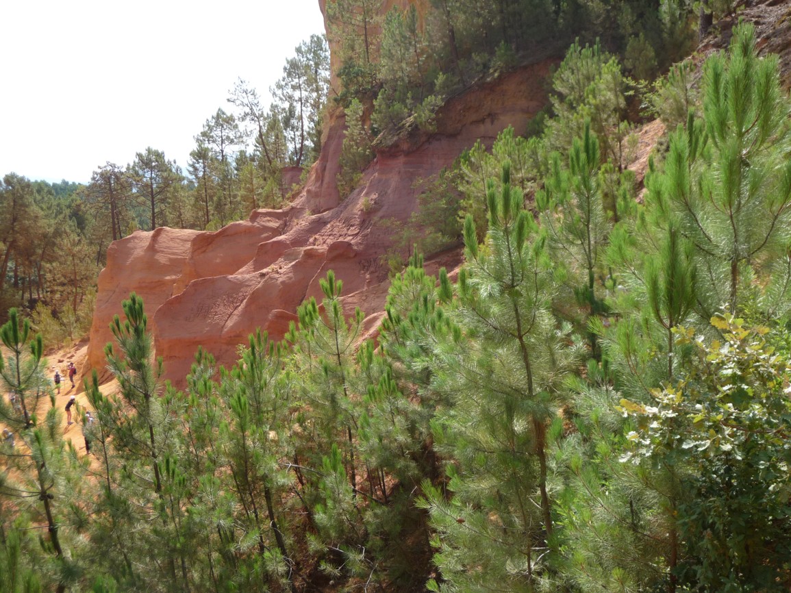 P1120655