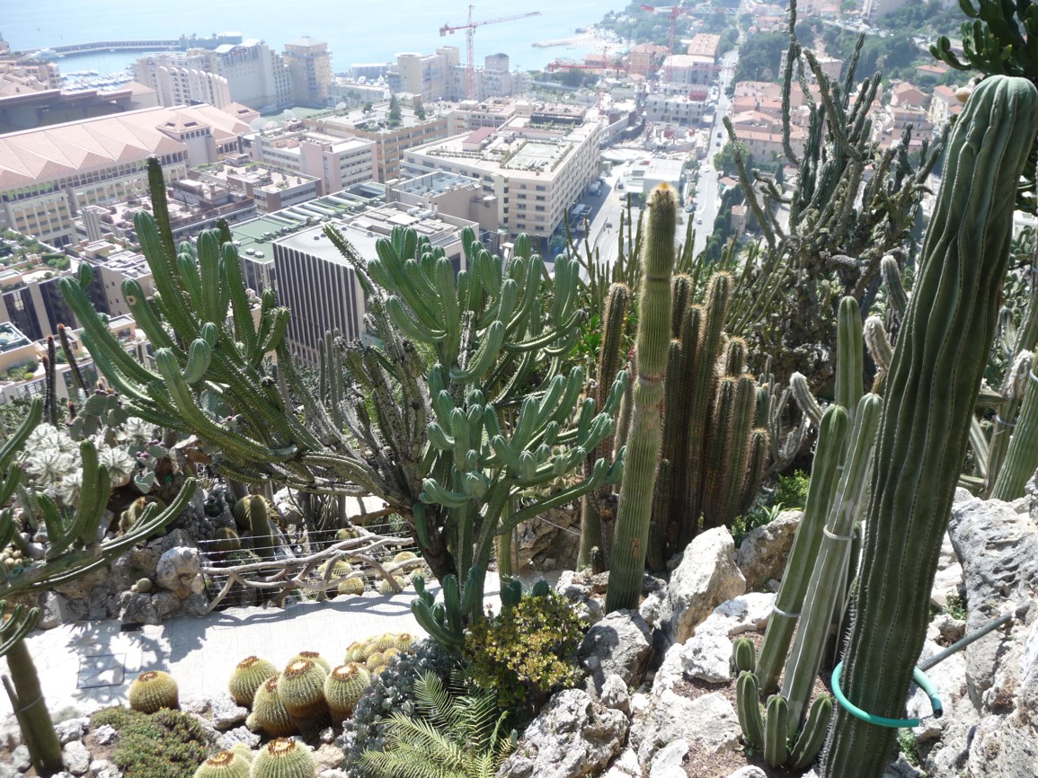 P1120863